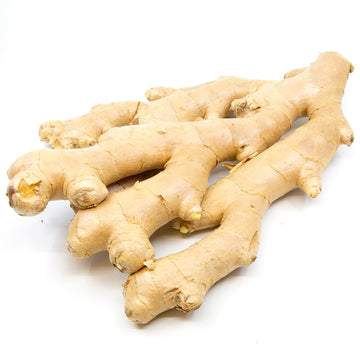 Congo-Brand Ginger Root (Big Palm) (Shipping Included)