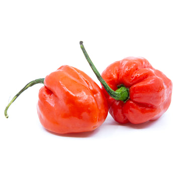 Habanero Pepper Red Shipping