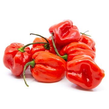 Habanero Pepper Red Shipping