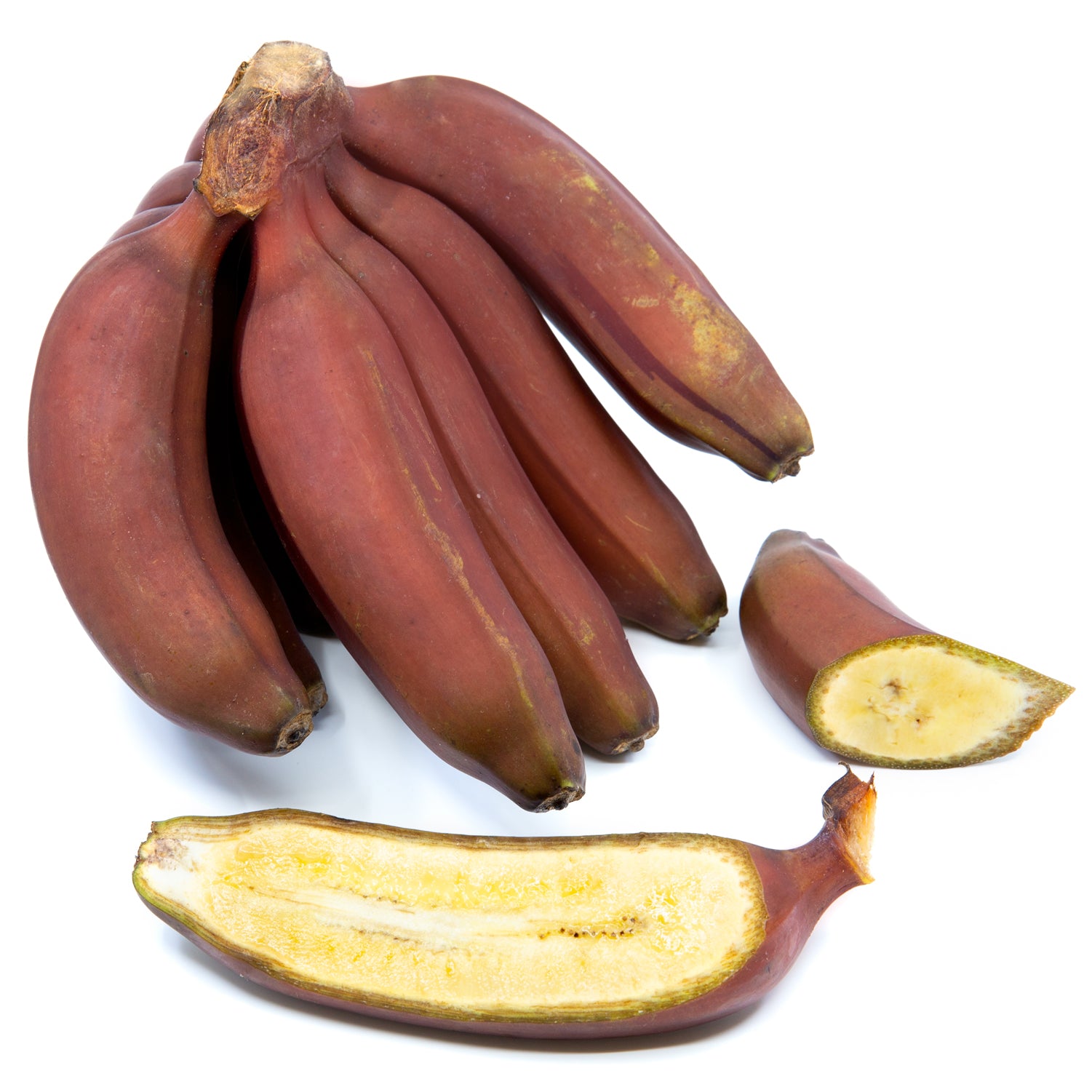 Congo Red (Plantain) from | Congo Tropicals
