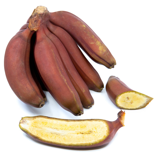 Congo Red Banana (Plantain) Exotic Fruit Tropicals Shipping