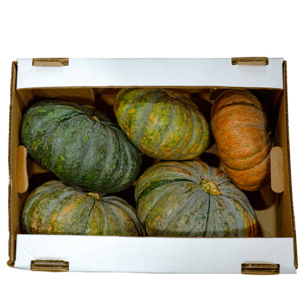 Congo-Brand Calabaza Arjuna Squash (Pumpkin) -Shipping Included