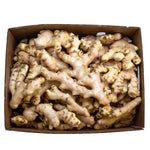 Congo-Brand Ginger Root (Big Palm) (Shipping Included)