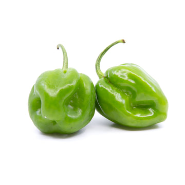 Habanero Pepper Green Shipping