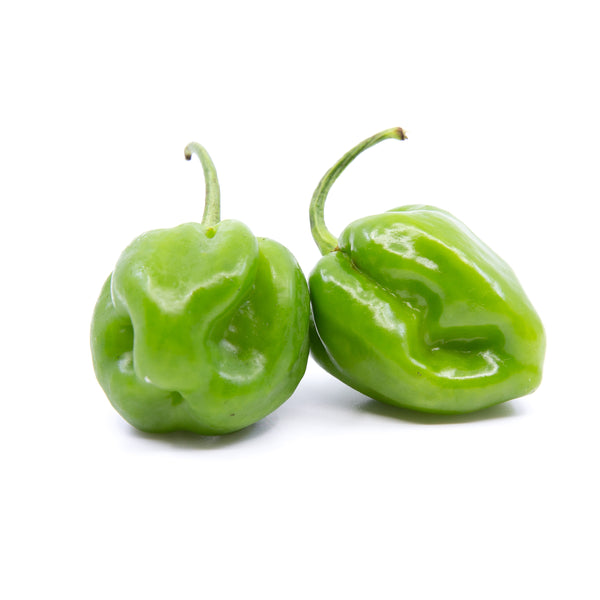 Shop Habanero Pepper Green Shipped by Congo Tropicals to Your Home