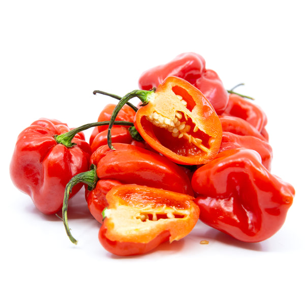 Shop Habanero Pepper Red Shipped by Congo Tropicals to Your Home