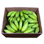 Congo-Brand Plantain (Banana) Burro (Shipping Included)
