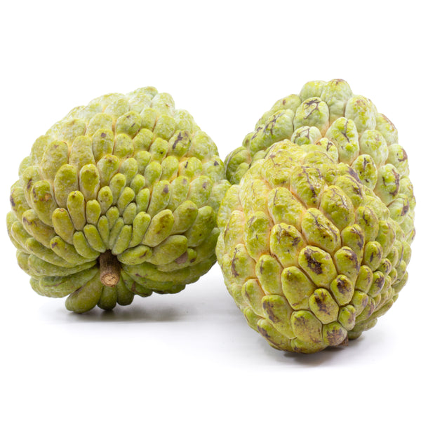 Fresh Sugar Apple (Annon, Sweet Sop) Shipped to Your Home by Congo Tropicals