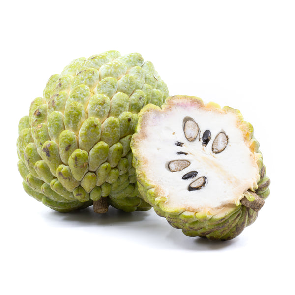 Fresh Sugar Apple (Annon, Sweet Sop) Shipped to Your Home by Congo Tropicals