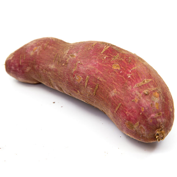 Japanese Sweet Potato (Murasaki) from Congo Tropicals