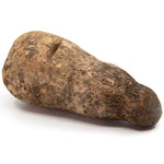 Yam White Shipping by Congo Tropicals